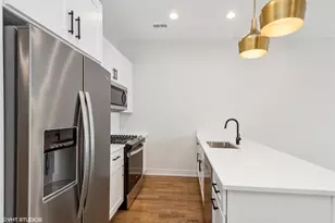 519 E Bowen Ave, Chicago, IL 60653 - Photo 6