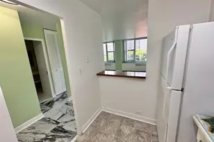 4250 N Marine Dr, Chicago, IL 60613 - Photo 8