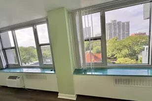 4250 N Marine Dr, Chicago, IL 60613 - Photo 10