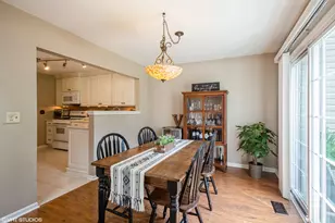 707 Clover Hill Ct, Elk Grove Village, IL 60007 - Photo 12