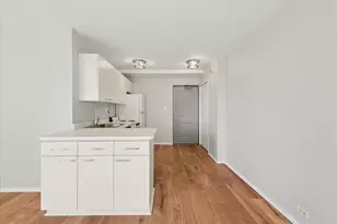 3420 N Lake Shore Dr, Chicago, IL 60657 - Photo 8