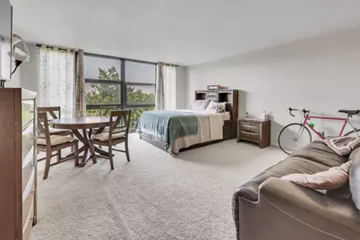 2901 S Michigan Avenue #403, Chicago, IL 60616 - Photo 8