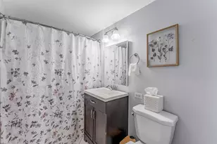 705 N Western Ave, Park Ridge, IL 60068 - Photo 12