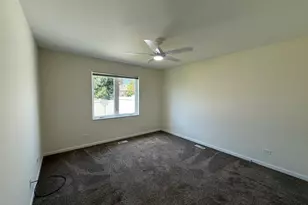 924 Bergera Street W, Braidwood, IL 60408 - Photo 12