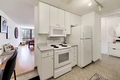 900 N Lake Shore Drive #1610, Chicago, IL 60611 - Photo 14