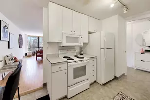 900 N Lake Shore Dr, Chicago, IL 60611 - Photo 14