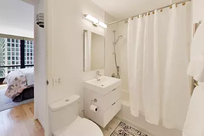 900 N Lake Shore Drive #1610, Chicago, IL 60611 - Photo 20