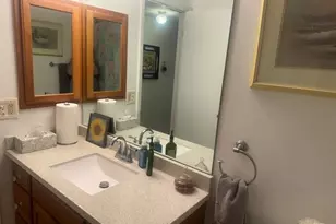 353 Lambert Dr, Schaumburg, IL 60193 - Photo 22
