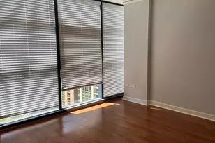 201 N Westshore Dr, Chicago, IL 60601 - Photo 10