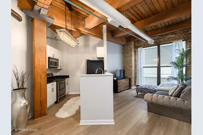 225 W Huron Street #403, Chicago, IL 60654 - Photo 4