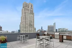 600 N Lake Shore Dr, Chicago, IL 60611 - Photo 30