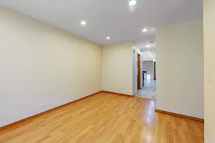 1719 S Ruble St, Chicago, IL 60616 - Photo 4