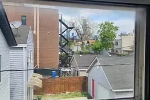 1719 S Ruble St, Chicago, IL 60616 - Photo 20