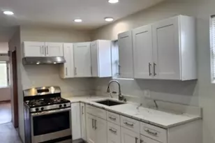 1719 S Ruble St, Chicago, IL 60616 - Photo 18