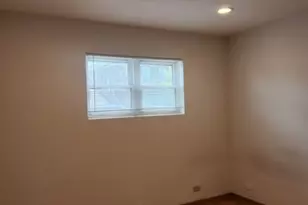 1719 S Ruble St, Chicago, IL 60616 - Photo 16