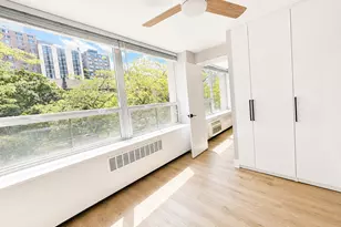 1355 N Sandburg Terrace, Chicago, IL 60610 - Photo 12