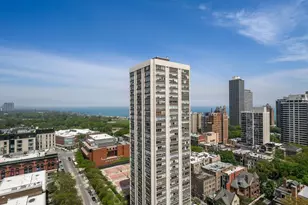 1455 N Sandburg Terrace, Chicago, IL 60610 - Photo 6