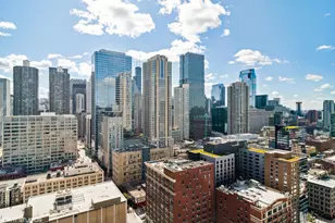 545 N Dearborn St, Chicago, IL 60654 - Photo 16