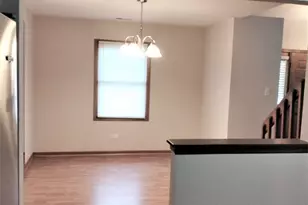9303 Whitehall Ln, Orland Park, IL 60462 - Photo 10