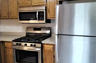 9303 Whitehall Ln, Orland Park, IL 60462 - Photo 18