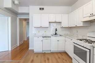 1441 W North Shore Ave, Chicago, IL 60626 - Photo 4
