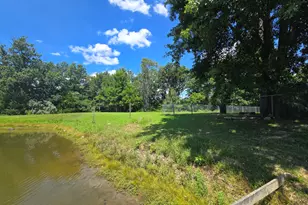4707 E Il Hwy 15, Chicago, IL 62898 - Photo 24