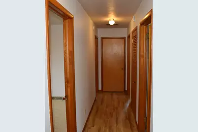 301 E Ririe Place, Flanagan, IL 61740 - Photo 10