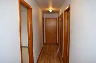 301 E Ririe Pl, Flanagan, IL 61740 - Photo 10