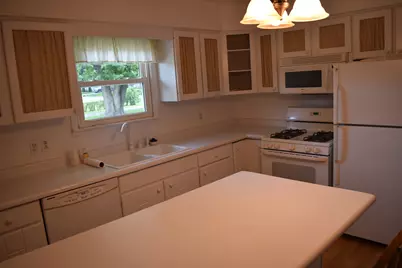 301 E Ririe Place, Flanagan, IL 61740 - Photo 2