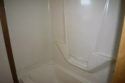 301 E Ririe Place, Flanagan, IL 61740 - Photo 18