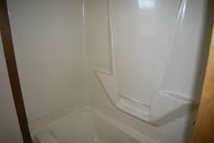301 E Ririe Pl, Flanagan, IL 61740 - Photo 18
