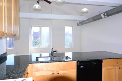 2334 W Harrison Street #4, Chicago, IL 60612 - Photo 10