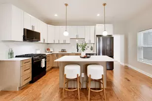 1033 S Claremont Ave, Chicago, IL 60612 - Photo 2