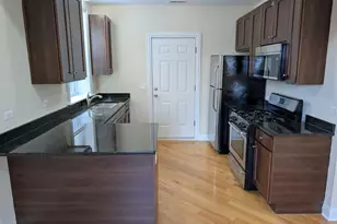 4014 N Central Park Ave, Chicago, IL 60618 - Photo 2