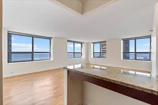 474 N Lake Shore Dr, Chicago, IL 60611 - Photo 10