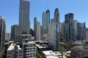 111 W Maple St, Chicago, IL 60610 - Photo 16
