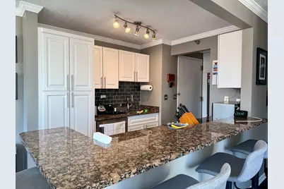 111 W Maple Street #1501, Chicago, IL 60610 - Photo 6