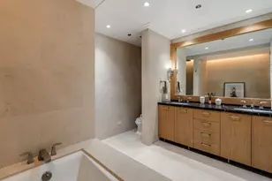159 E Walton Pl, Chicago, IL 60611 - Photo 16