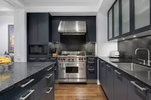 159 E Walton Pl, Chicago, IL 60611 - Photo 12