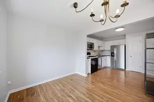 66 Beechmont Ct, Schaumburg, IL 60193 - Photo 20
