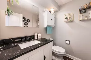 49 Park Ln, Park Ridge, IL 60068 - Photo 20