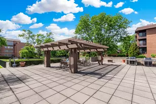 49 Park Ln, Park Ridge, IL 60068 - Photo 38