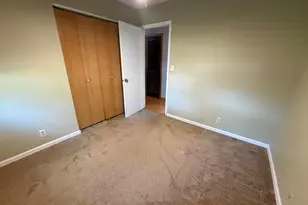 8 Sandburg Ct, Clifton, IL 61727 - Photo 28