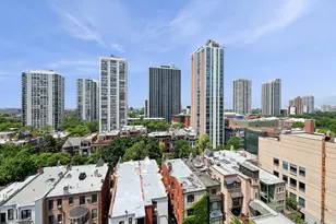 1516 N State Pkwy, Chicago, IL 60610 - Photo 16