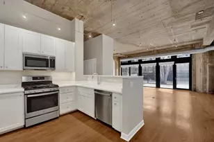 1071 W 15th St, Chicago, IL 60608 - Photo 2