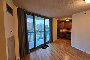 111 W Maple St, Chicago, IL 60610 - Photo 6