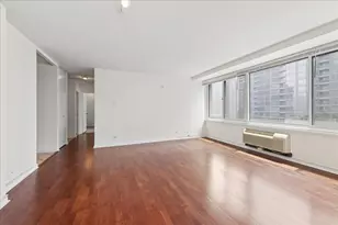 211 E Ohio St, Chicago, IL 60611 - Photo 6