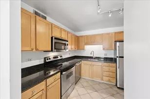211 E Ohio St, Chicago, IL 60611 - Photo 4