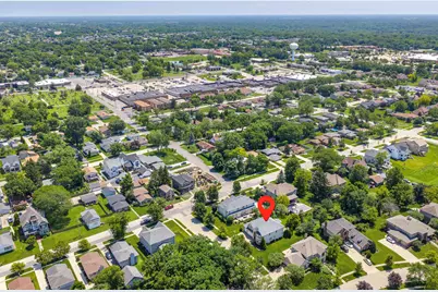 6 W Jayne Street, Lemont, IL 60439 - Photo 4