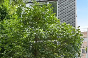 2109 W Race Ave, Chicago, IL 60612 - Photo 2